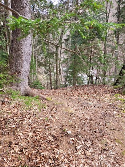 Участок 8 сот. (ИЖС)