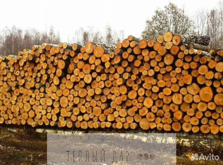Дрова березовые осиновые ольховые