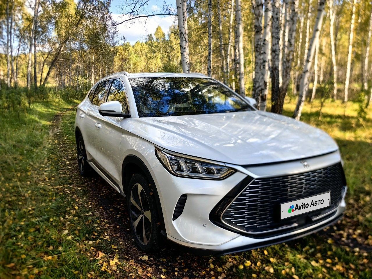 BYD Song Plus: фото из отзыва