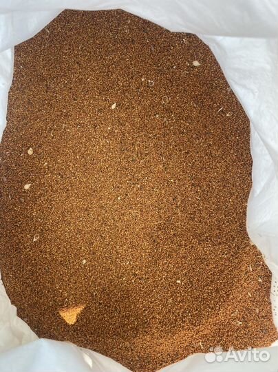 Рыжик в мешках