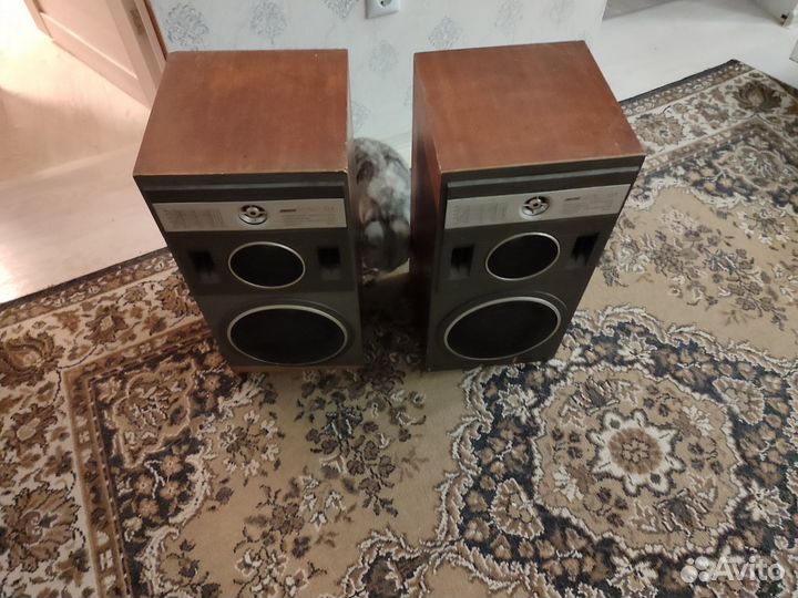Акустические колонки СССР бу