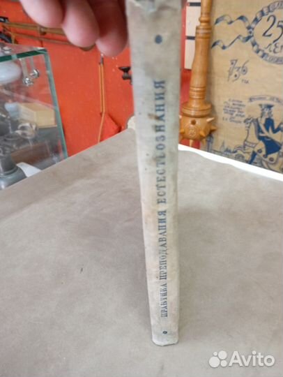 С. А. Павлович преподавание в начальной школе 1936