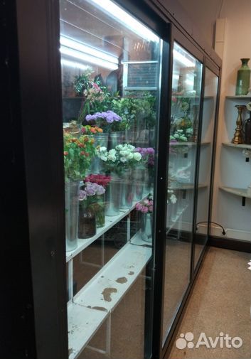 Холодильная камера для цветов