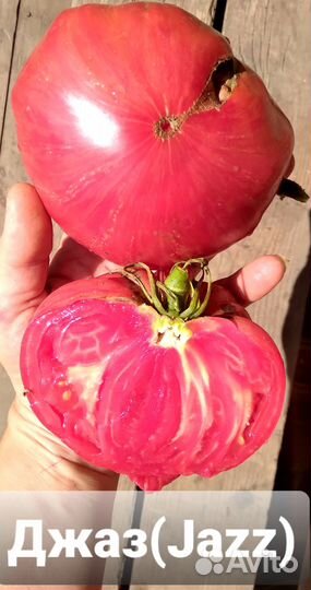 Семена редких коллекционных томатов