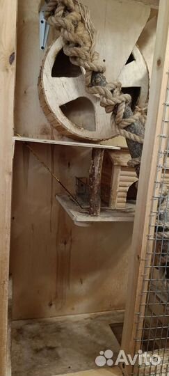 Клетка для белки дегу