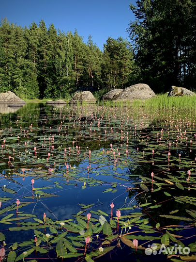 Экскурсии SUP прогулки на сапах