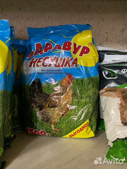 Здравур Несушка для кур-несушек и др