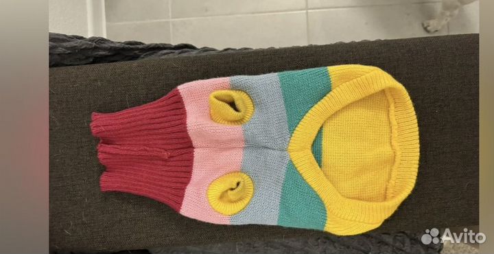 Одежда для собак мелких пород пакетом