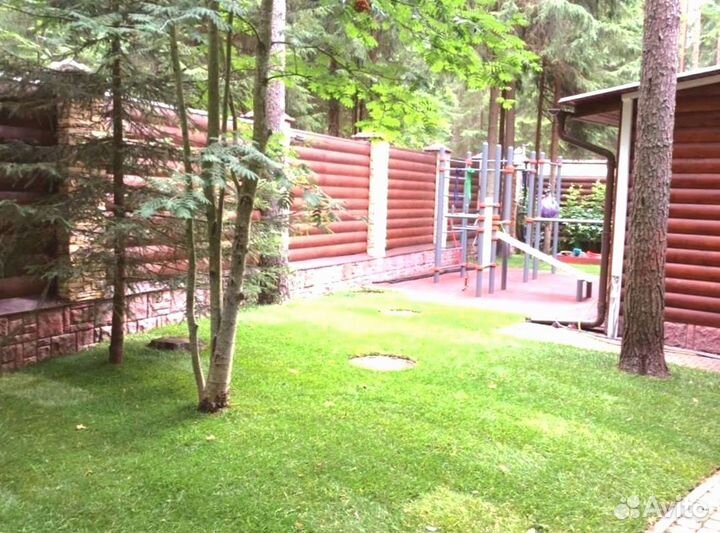 Рулонный газон 