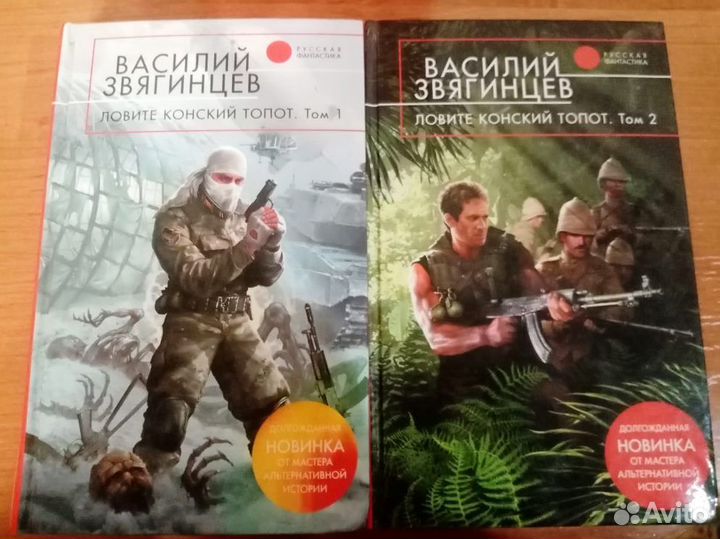 Книги (Василий Звягинцев)