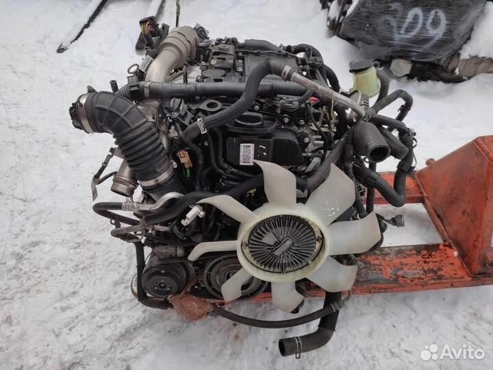 Двигатель дизель w470 X-class 699.301 2018