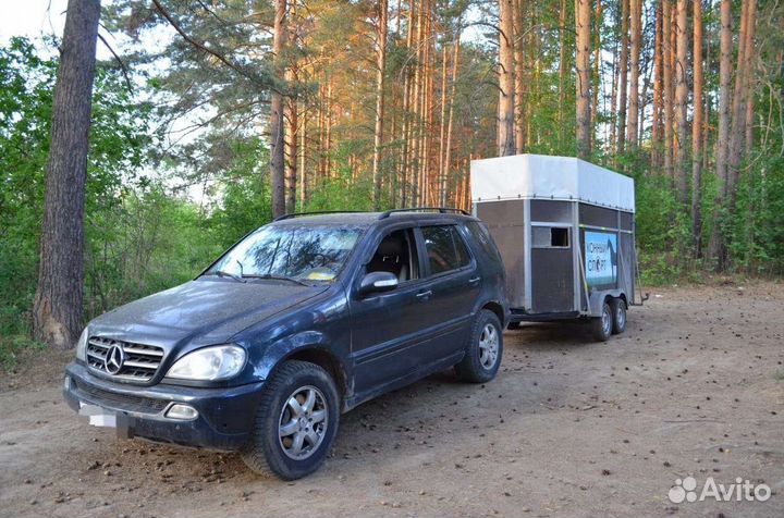 Услуги коневоза скотовоза возим лошадей мрс крс