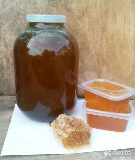 Мёд натуральный - свежий 2023 г