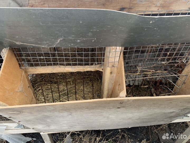 Клетка для кроликов (кролятня)