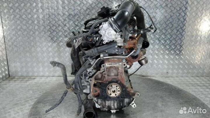 Двигатель BJB Volkswagen Golf 5 1.9 Дизель