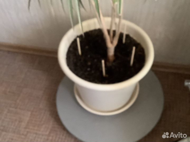 Подставка напольная для цветов