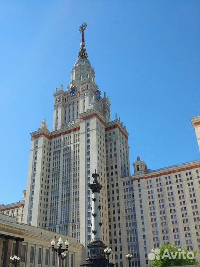 Репетитор по физике и математике онлайн