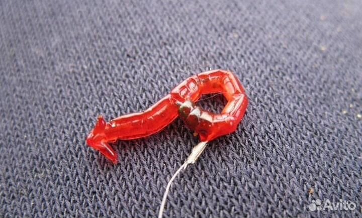 Мотыль крупный свежий 1 кг