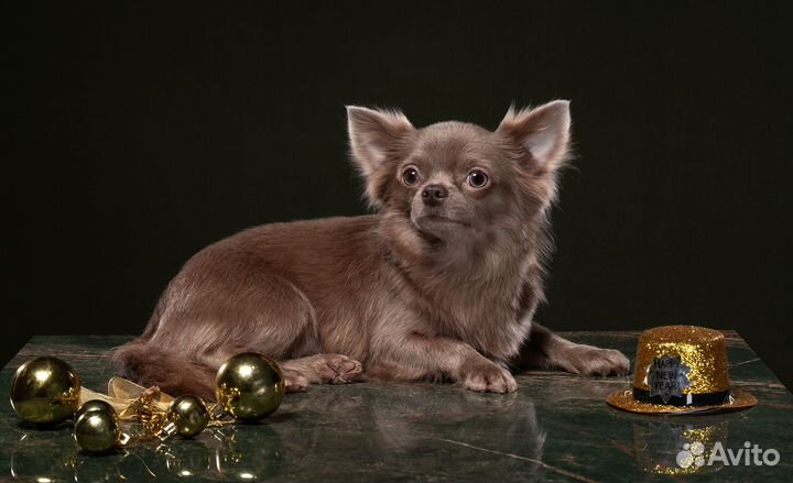 Чудо девочка