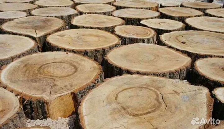 Спилы дерева для мощения