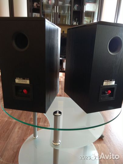Акустика Polk audio TSI-200