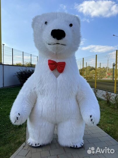 Белый мишка поздравление