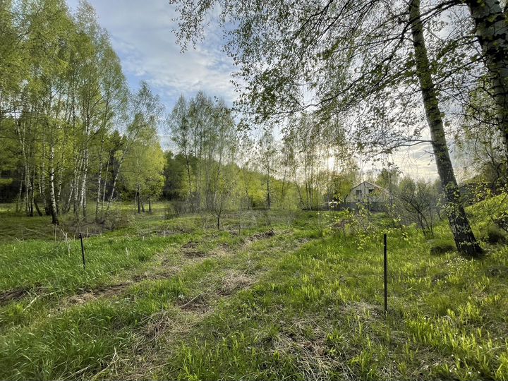 Участок 13,2 сот. (СНТ, ДНП)