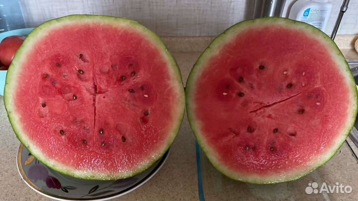 Продам арбузы