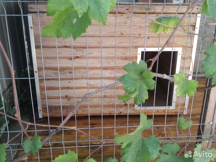 Будка для собаки утепленная