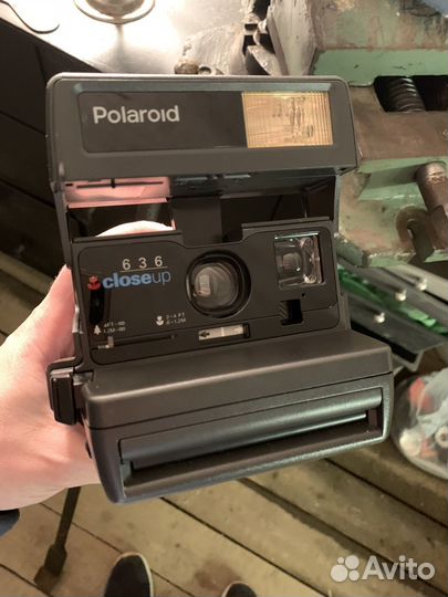 Polaroid