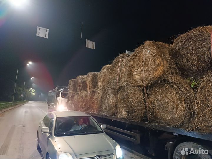 Сено в тюках от 200-250кк стандартные