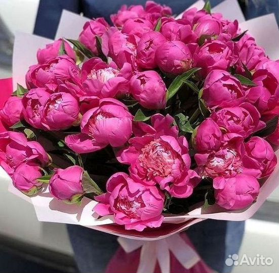 Пионы Букет пионов