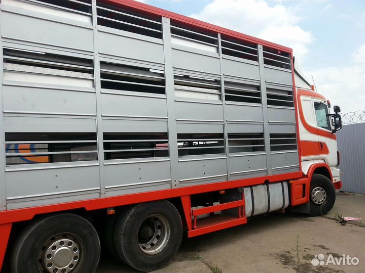 Перевозка скота межгород