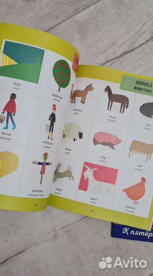 Тренажёр и словарь по английскому языку