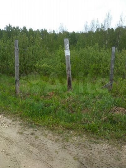 Участок 8 сот. (СНТ, ДНП)