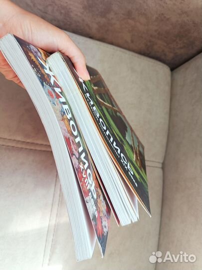 Книги по искусству и живописи