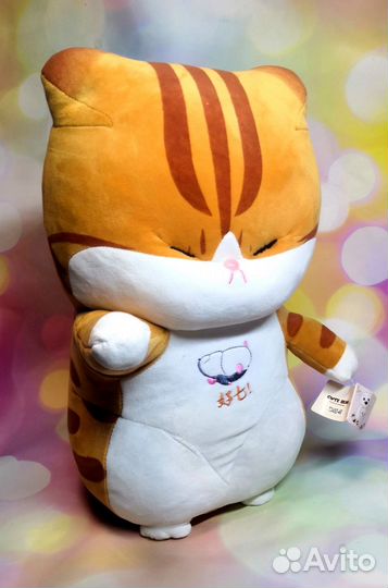 Рыжий китайский кот