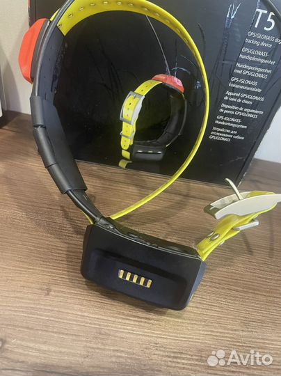 Ошейник garmin t5 US