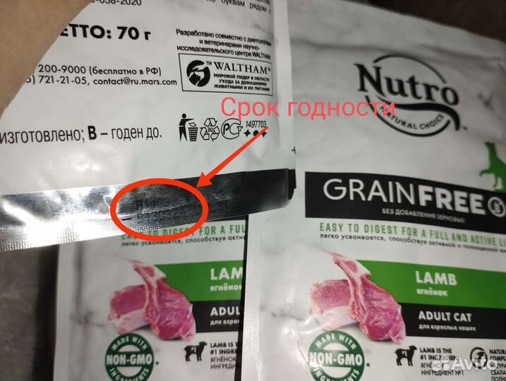 Влажный корм для кошек