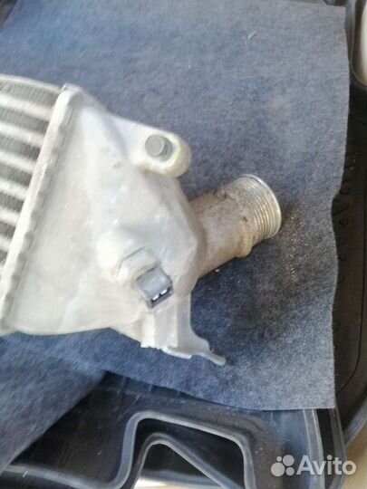 Радиатор масляный grand starex (2007) -281904A4