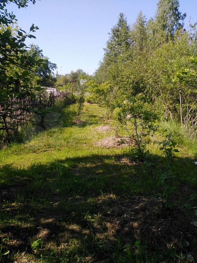 Участок 9 сот. (СНТ, ДНП)