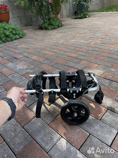 Инвалидная коляска для собак