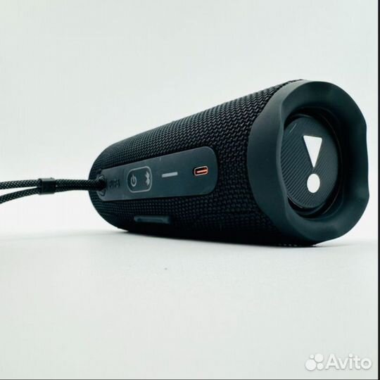 Беспроводная портативная колонка JBL Flip 6