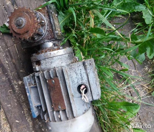 Мотор-редуктор