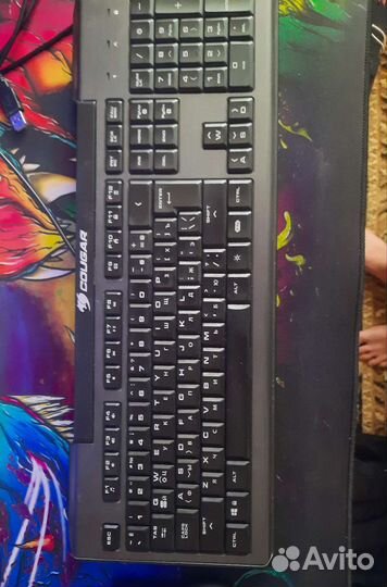 Клавиатура и мышь