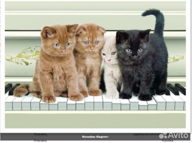 Фотообои бумажные 194/136 см