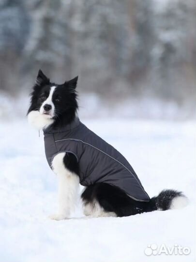 Зимний Жилет для собак аляска новый