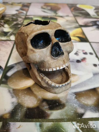 Череп под ручки/пепельница