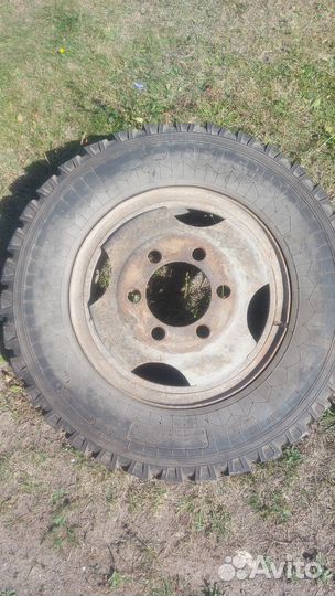 Колеса на газ 53 бу belshina
