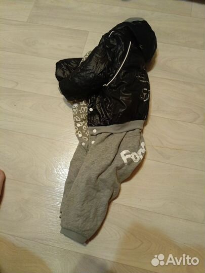 Одежда для собак